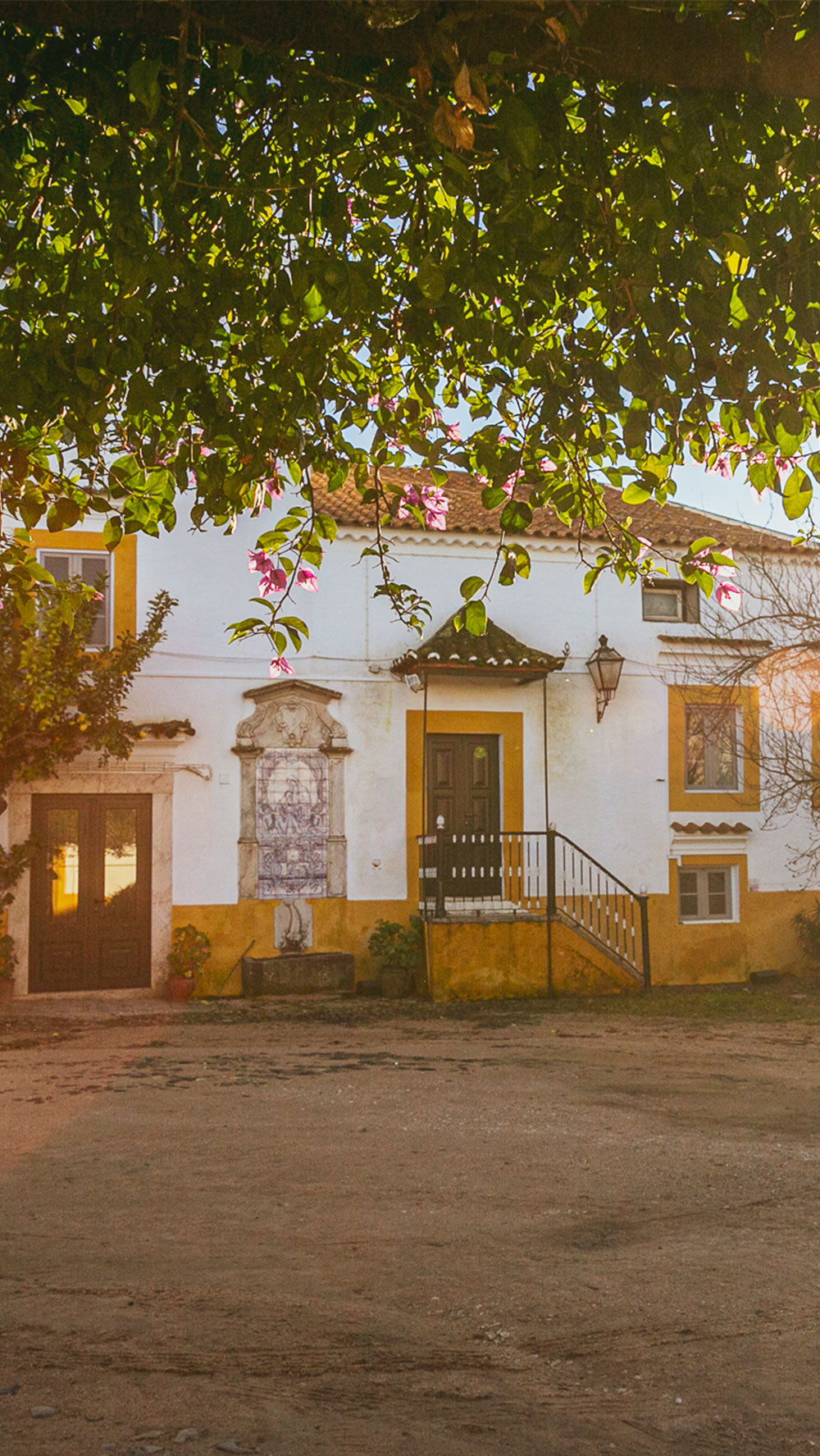 Vinhos de Familia
