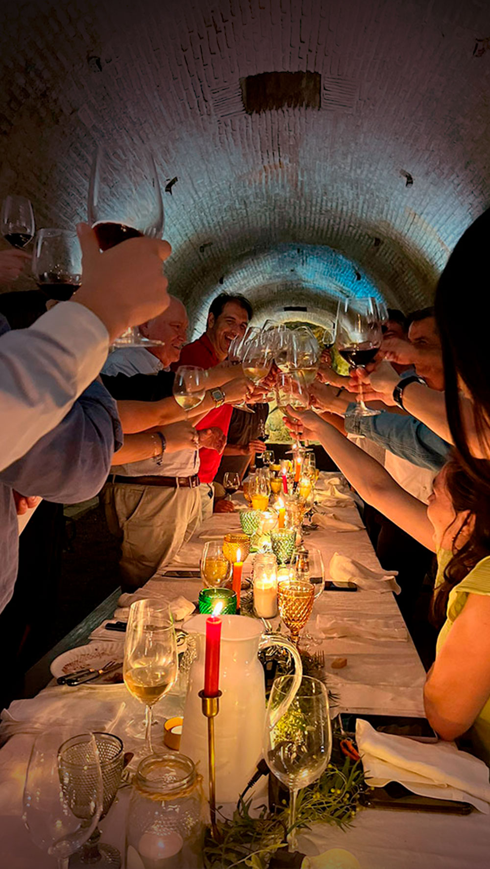 Provas de Vinhos e Enoturismo