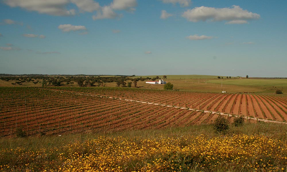 O Alto Alentejo